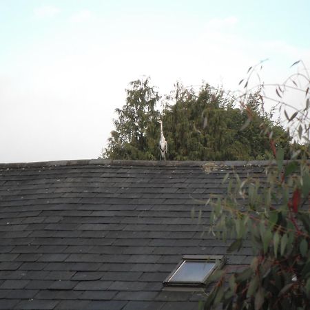 Laurel Cottage Windermere Buitenkant foto