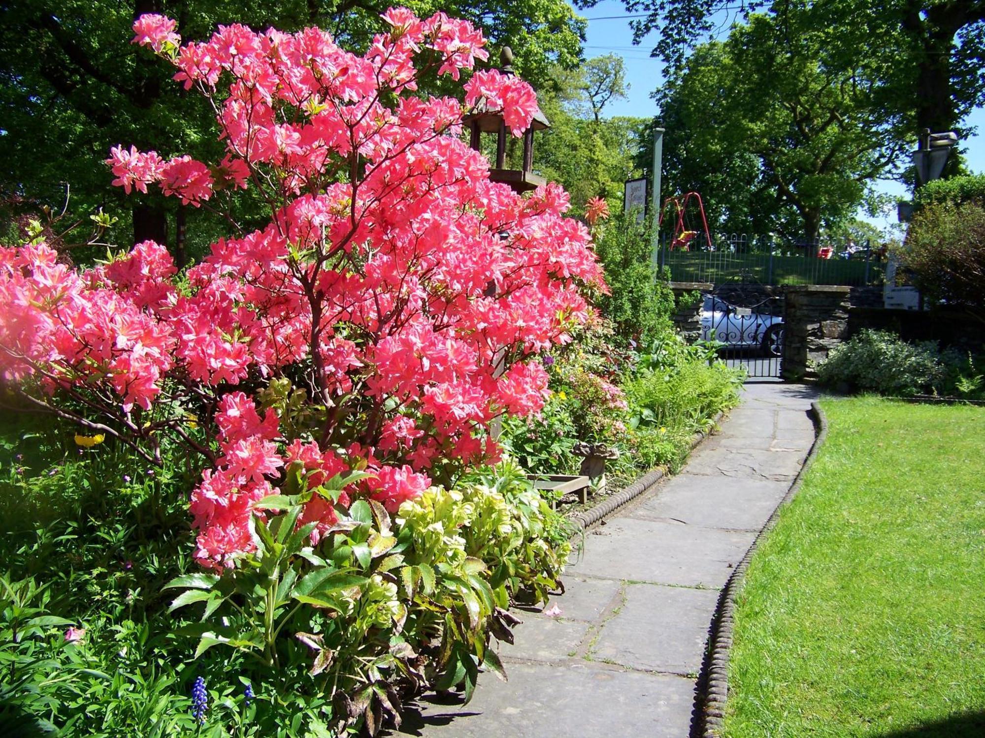 Laurel Cottage Windermere Buitenkant foto
